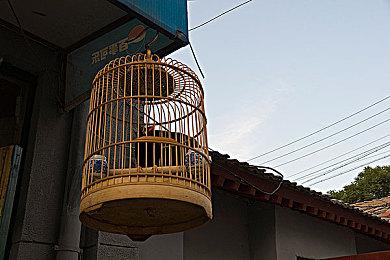 《第一狂战士 卡赞》开场动画公布 明年年初发售